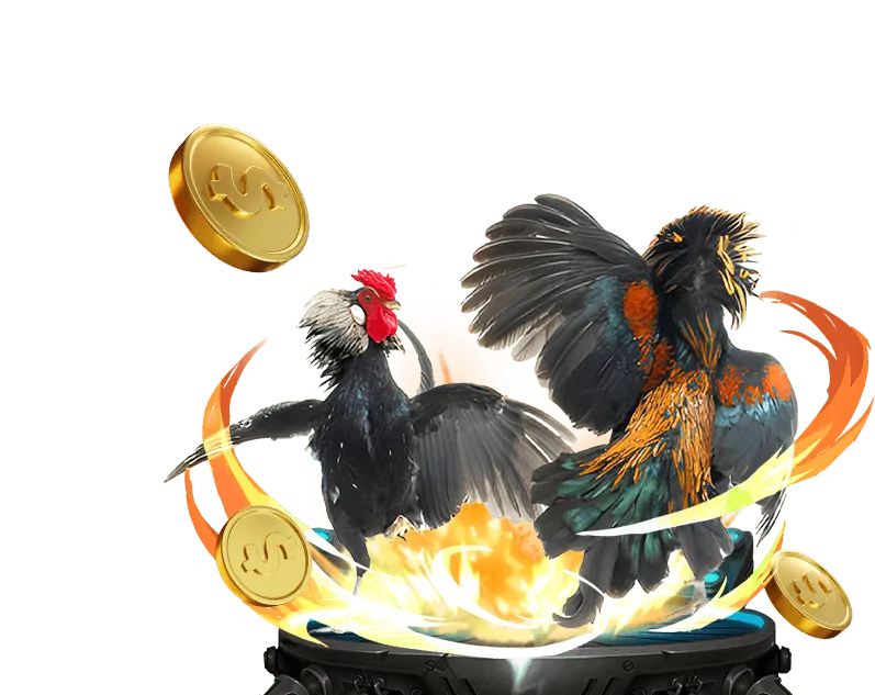 Game bài Rồng Hổ trực tuyến đơn giản và nhanh chóng trên Sunwin20 App